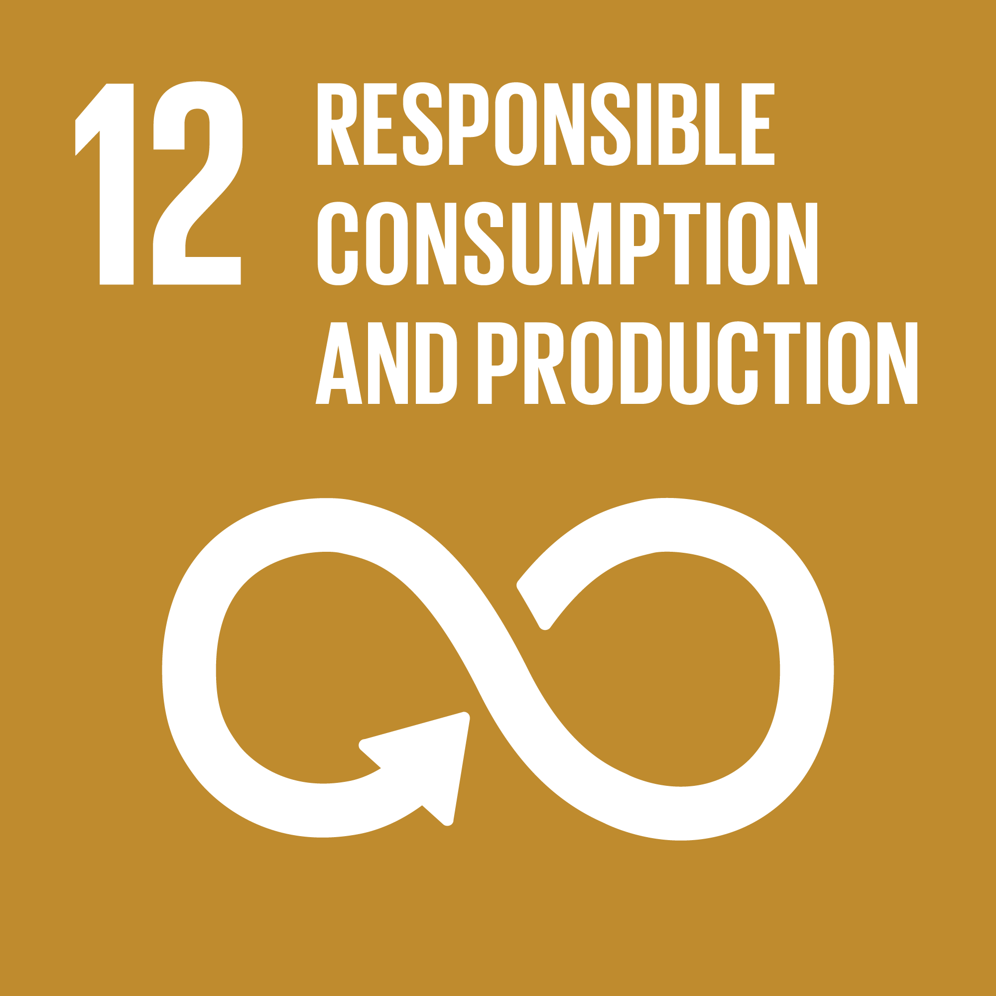 12. Responsible Consumption and Production